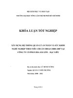 XÂY DỰNG HỆ THỐNG QUẢN LÝ AN TOÀN VÀ SỨC KHỎE NGHỀ NGHIỆP THEO TIÊU CHUẨN OHSAS 18001:2007 TẠI CÔNG TY CỔ PHẦN BIA SÀI GÒN – BẠC LIÊU