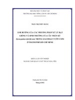 ẢNH HƯỞNG CỦA CÁC PHƯƠNG PHÁP XỬ LÝ HẠT GIỐNG VÀ SINH TRƯỞNG CỦA CÂY THẦN KỲ (Synsepalum dulcificum) TRONG GIAI ĐOẠN VƯỜN ƯƠM Ở THÀNH PHỐ HỒ CHÍ MINH