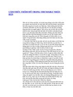 CẢM THỨC THẨM mỹ TRONG THƠ HAIKƯ NHẬT bản 