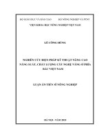 Nghiên cứu biện pháp kỹ thuật nâng cao năng suất, chất lượng cây nghệ vàng ở phía Bắc Việt Nam