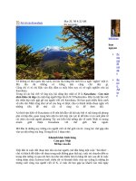 Xứ sở của kawabata 