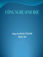 Bài giảng công nghệ sinh học full