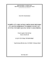 Nghiên cứu một số đặc điểm sinh thái học của rươi (nereidae tylorrhuynchus SP ) ở vùng ven biển quảng ninh và hải phòng