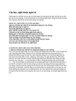 Văn học nghệ thuật ngôn từ 