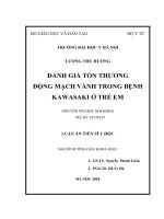 Đánh giá tổn thương động mạch vành trong bệnh Kawasaki ở trẻ em (FULL TEXT)