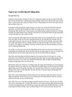 Nam cao và tiểu thuyết sống mòn 