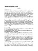 Tự trào trong thơ tú xương 