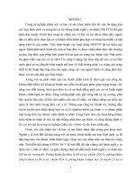 Xử lý vi phạm hành chính đối với cơ sở hành nghề y tư nhân tại thị xã A, tỉnh BK