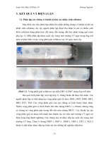 Phân lập, định danh và xác định đặc điểm sinh hóa của các chủng vi khuẩn kị khí, ưa nhiệt, sinh cellulase (3) 