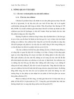 Phân lập, định danh và xác định đặc điểm sinh hóa của các chủng vi khuẩn kị khí, ưa nhiệt, sinh cellulase (1) 