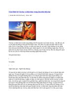 Trần đình sử văn học và hiện thực trong tầm nhìn hiện đại 