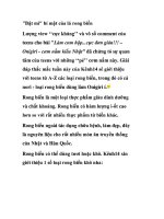 bật mí bí mật của rong biển