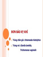 ký sinh trùng đơn bào kỵ KHÍ