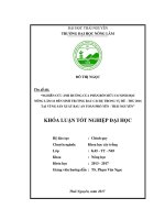 Nghiên cứu ảnh hưởng phân bón hữu cơ sinh học nông lâm 16 đến sinh trưởng và phát triển của rau cải bẹ ở vùng sản xuất rau an toàn phổ yên   thái nguyên 