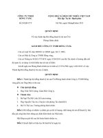 Mau quyet dinh thanh lap hoi dong thanh ly tai san