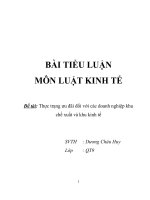 Bài tiểu luận thực trang ưu đãi với các doanh nghiệp khu chế xuất va khu kinh tế