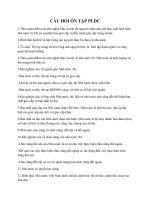 Câu hỏi ôn tập môn pháp luật đại cương