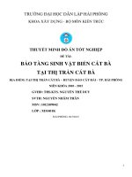 Bảo tàng sinh vật biển cát bà tại thị trấn cát bà(2015) (Đồ án tốt nghiệp XD)