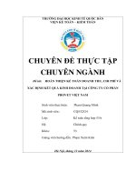 CHUYÊN ĐỀ THỰC TẬP TỐT NGHIỆP KẾ TOÁN, đề tài “Hoàn thiện kế toán Doanh thu, Chi phí và xác định kết quả kinh doanh tại Công ty Provet Việt Nam”.