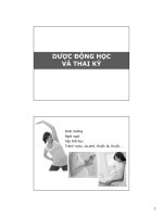 Dược động học thai kỳ