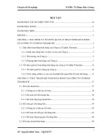 CHUYÊN ĐỀ THỰC TẬP TỐT NGHIỆP KẾ TOÁN, đề tài “Hoàn thiện kế toán bán hàng tại Công ty Cổ phần Telematic”.