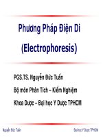 Phương pháp điện di
