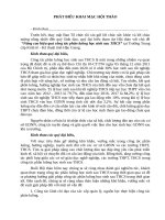 phat bieu khai mac hoi tao + tong ket hoi thao