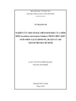 NGHIÊN CỨU MỘT SỐ ĐẶC ĐIỂM SINH HỌC CỦA NHÍM BỜM (Acanthion subcristatum Swinhoe) TRONG ĐIỀU KIỆN NUÔI NHỐT TẠI XÃ BÌNH MỸ, HUYỆN CỦ CHI THÀNH PHỐ HỒ CHÍ MINH