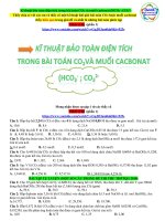 Ki thuat bao toan dien tich trong bai toan CO2 va muoi cacbonat HCO3 CO32 