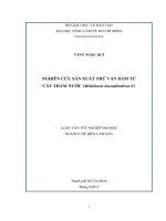 NGHIÊN CỨU SẢN XUẤT THỬ VÁN DĂM TỪ CÂY TRÀM NƯỚC (Melaleuca leucadendron L)