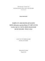 NGHIÊN CỨU SINH TRƯỞNG RỪNG ĐƯỚC TRỒNG (Rhizophora apiculata Blume) TỪ 8 ĐẾN 20 TUỔI TẠI BAN QUẢN LÝ RỪNG PHÒNG HỘ ĐẦM DƠI HUYỆN ĐẦM DƠI  TỈNH CÀ MAU