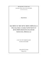 ĐẶC ĐIỂM CẤU TRÚC RỪNG TRỒNG THÔNG BA LÁ (Pinus Kesya Royle ex Gordon) TẠI BAN QUẢN LÝ RỪNG PHÒNG HỘ MANGYANG, HUYỆN MANGYANG, TỈNH GIA LAI