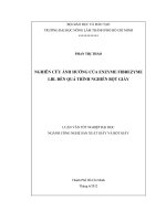 NGHIÊN CỨU ẢNH HƯỞNG CỦA ENZYME FIBREZYME LBL ĐẾN QUÁ TRÌNH NGHIỀN BỘT GIẤY