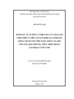 ĐÁNH GIÁ TỶ LỆ SỐNG VÀ HIỆU QUẢ CỦA HAI LOẠI CHỒI GHÉP CÀ PHÊ CAO SẢN ROBUSTA (CHỒI HAI GIỐNG TR4 SO VỚI CHỒI NGỌN GIỐNG TS1,TR4) VỚI CÙNG MỘT PHƯƠNG THỨC GHÉP TRONG GIAI ĐOẠN VƯỜN ƯƠM