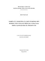 NGHIÊN CỨU ẢNH HƯỞNG CỦA NHÂN TỐ KHÍ HẬU ĐẾN ĐỘ RỘNG VÒNG NĂM LOÀI THÔNG BA LÁ (Pinus kesiya) TRỒNG TẠI HUYỆN ĐẮK TÔ, TỈNH KON TUM