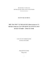 ĐIỀU TRA THỰC VẬT HỌ SAO DẦU (Dipterocarpaceae) VÀ HỌ ĐẬU (Fabaceae) TẠI VƯỜN QUỐC GIA LÒ GÒ XA MÁT HUYỆN TÂN BIÊN – TỈNH TÂY NINH