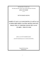 NGHIÊN CỨU QUY LUẬT SINH TRƯỞNG CỦA RỪNG CAO SU DÒNG PB235 TRỒNG TẠI NÔNG TRƯỜNG SUỐI NGÔ THUỘC CÔNG TY TNHH MỘT THÀNH VIÊN CAO SU TÂN BIÊN – TỈNH TÂY NINH