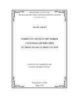 NGHIÊN CỨU SẢN XUẤT THỬ NGHIỆM VÁN DĂM BA LỚP PHỐI TRỘN TỪ THÂN CÂY SẮN VÀ THÂN CÂY NGÔ