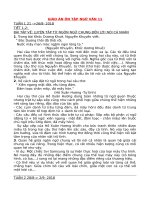 Giáo án và tài liệu ôn văn 11