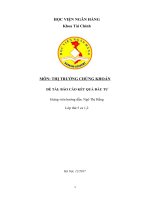 ĐỀ TÀI: BÁO CÁO KẾT QUẢ ĐẦU TƯ