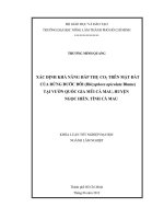 XÁC ĐỊNH KHẢ NĂNG HẤP THỤ CO2 TRÊN MẶT ĐẤT CỦA RỪNG ĐƯỚC ĐÔI (Rhizophora apiculata Blume) TẠI VƯỜN QUỐC GIA MŨI CÀ MAU, HUYỆN NGỌC HIỂN, TỈNH CÀ MAU