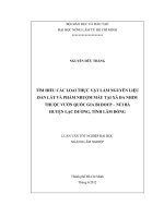 TÌM HIỂU CÁC LOÀI THỰC VẬT LÀM NGUYÊN LIỆU ĐAN LÁT VÀ PHẨM NHUỘM MÀU TẠI XÃ ĐA NHIM THUỘC VƯỜN QUỐC GIA BI DOUP – NÚI BÀ HUYỆN LẠC DƯƠNG, TỈNH LÂM ĐỒNG