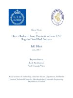Master Thesis of. Direct Reduced Iron Production from EAF Slags in Fixed Bed Furnace. Idil Bilen. Jan, 2013. Supervisors_
