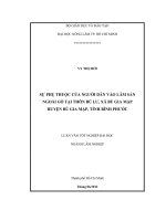 SỰ PHỤ THUỘC CỦA NGƯỜI DÂN VÀO LÂM SẢN NGOÀI GỖ TẠI THÔN BÙ LƯ, XÃ BÙ GIA MẬP HUYỆN BÙ GIA MẬP, TỈNH BÌNH PHƯỚC