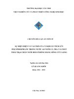 SỰ HIỆN DIỆN VÀ VAI TRÒ CỦA VI KHUẨN TÍCH LŨY POLYPHOSPHATE TRONG NƯỚC AO NUÔI CÁ TRA VÀ CHẤT THẢI TRẠI CHĂN NUÔI HEO Ở ĐỒNG BẰNG SÔNG CỬU LONG