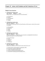 kupdf com lehninger principles of biochemistry test bank ch 18pdf 