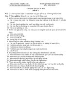 Đề thi và đáp án kiểm toán