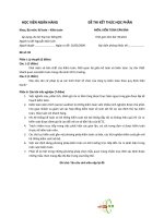 Đề thi kiểm toán căn bản hoc vien ngan hang 