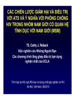 CÁC CHIẾN LƯỢC GIẢM HẠI VÀ ĐIỀU TRỊ VỚI ATS VÀ Ý NGHĨA VỚI PHÒNG CHỐNG HIV TRONG NHÓM NAM GIỚI CÓ QUAN HỆ TÌNH DỤC VỚI NAM GIỚI (MSM)