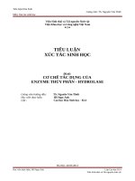 CƠ CHẾ tác DỤNG của enzyme thủy phân  hydrolase